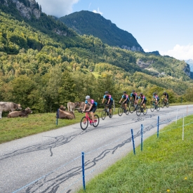 PLUME-DAY-4-SMALL-02