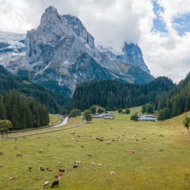 PLUME-DAY-4-SMALL-30